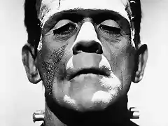 Frankenstein\'s_monster_(Boris_Karloff)