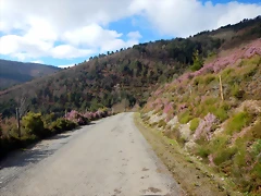 DSCN8985