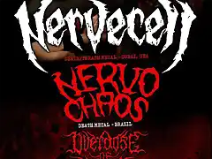 nervecell