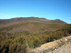 DSCN6790 DSCN6790