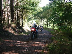 DSCN5486 DSCN5486