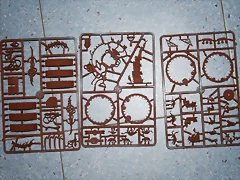 IMG_6070 IMG_6070