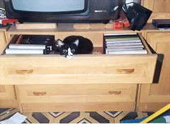 OSCA METIDA EN UN CAJON OSCA METIDA EN UN CAJON