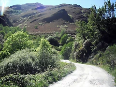 DSCF2643 DSCF2643