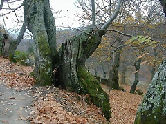 DSCN9681 DSCN9681