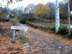 DSCN9685 DSCN9685