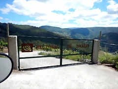 DSCN7850 DSCN7850