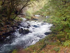 DSCN7972 DSCN7972
