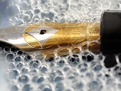 Nib-1 Nib-1