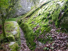 DSCN5739 DSCN5739