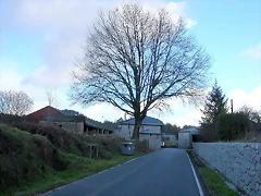 DSCN7181 DSCN7181