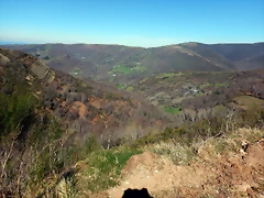 DSCN3717 DSCN3717