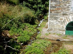 DSCN9143 DSCN9143