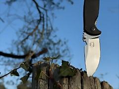 dpx32 dpx32
