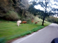 DSCN0688 DSCN0688