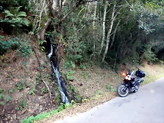 DSCN0687 DSCN0687