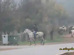 06, saludo a la Virgen, marca