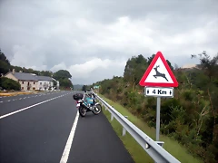 DSCN8342 DSCN8342