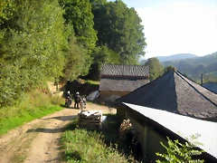 IMG_0685 IMG_0685