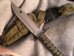 SANY3730