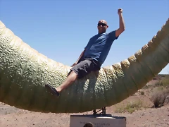 P2070019 P2070019
