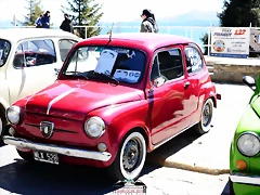 CAS_3990 CAS_3990