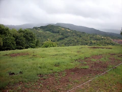 DSCN4745 DSCN4745