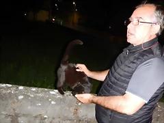 DSCN4666 DSCN4666