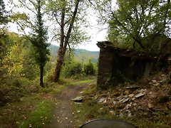 DSCN7203 DSCN7203