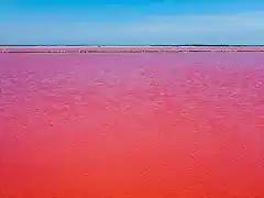 El-agua-roja-de-un-lago-en-Camargue