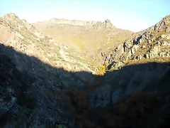 DSCN6978