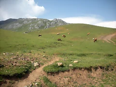 DSCN3638 DSCN3638