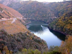 DSCN6553 DSCN6553