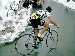 Hinault-Giro 1980-Stelvio