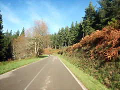 DSCN1451 DSCN1451