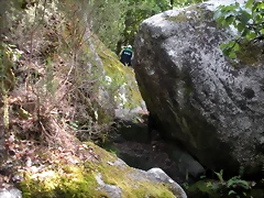 DSCN2766 DSCN2766