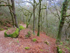 54-IMG_4568 54-IMG_4568