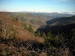 DSCN2511 DSCN2511