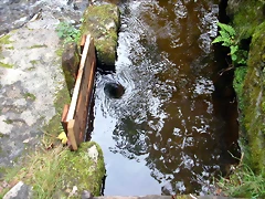 DSCN1824'2 DSCN1824'2