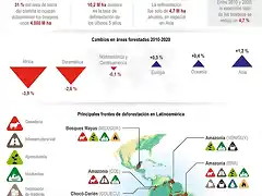 AltCOP26-Los-lideres-mundiales-se-comprometen-contra-la-deforestacion-Infografia-de-Agencia-EFE-