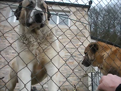 DSCN2803 DSCN2803