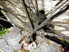 DSCN4282 DSCN4282