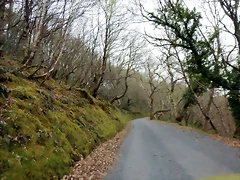 DSCN4239 DSCN4239