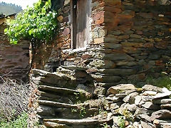 DSCN2154 DSCN2154