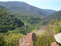 DSCN2144 DSCN2144
