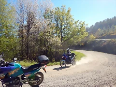 DSCN8972 DSCN8972