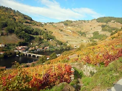 DSCN9822 DSCN9822