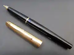 pelikan 3