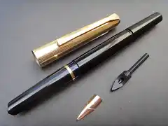 pelikan 4