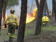 Incendio-Camping-Nerva-.jpg (3)